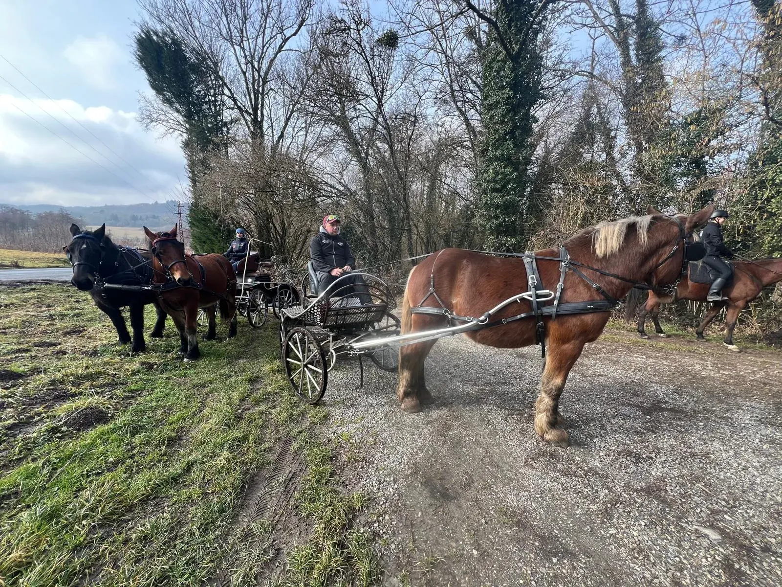 Attelage sur la piste